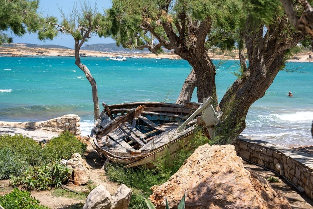 A weathered wooden rowboat rests on the shore under twisted trees beside a turquoise bay.